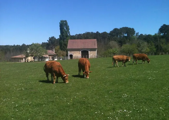 بيت للعطل La Tuilliere Saint-Étienne-de-Puycorbier